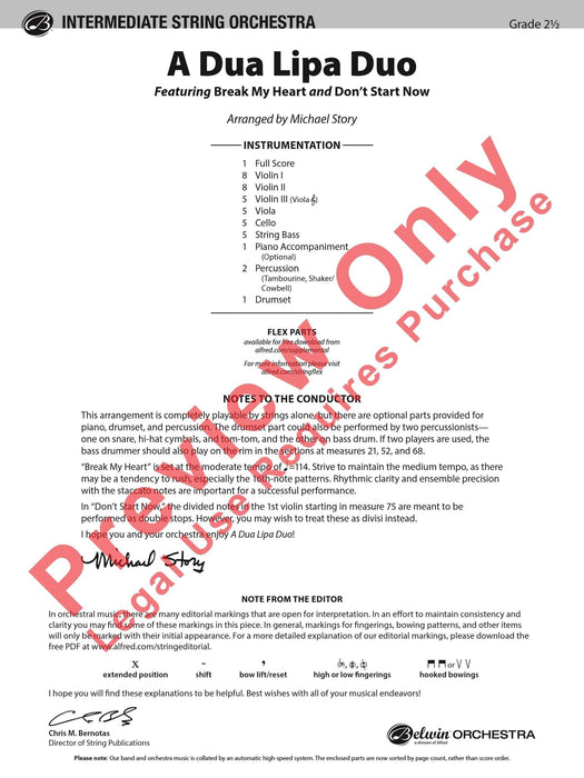 A Dua Lipa Duo Featuring: Break My Heart / Don't Start Now 二重奏 | 小雅音樂 Hsiaoya Music