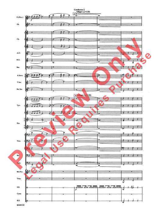 The Civil War 總譜 | 小雅音樂 Hsiaoya Music