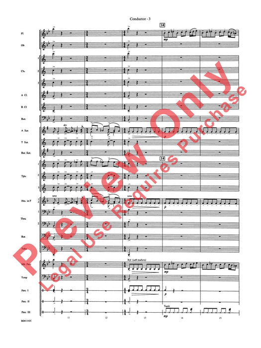 Into the Storm 總譜 | 小雅音樂 Hsiaoya Music