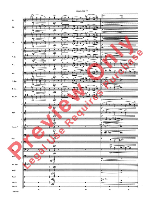 Into the Storm | 小雅音樂 Hsiaoya Music