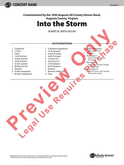 Into the Storm | 小雅音樂 Hsiaoya Music