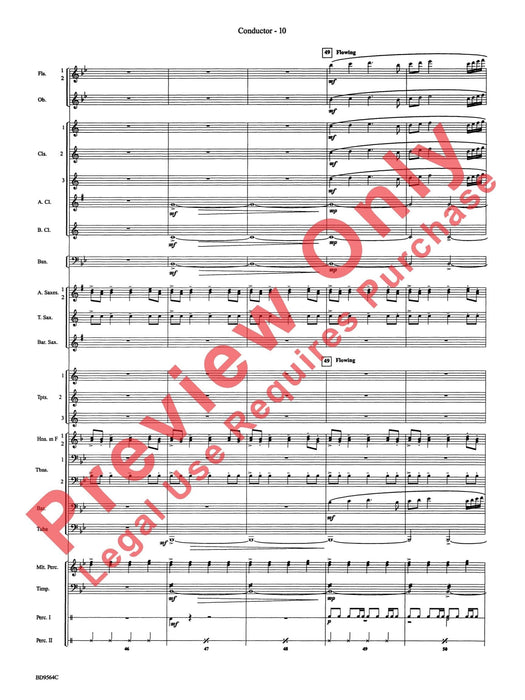 Where the Black Hawk Soars | 小雅音樂 Hsiaoya Music