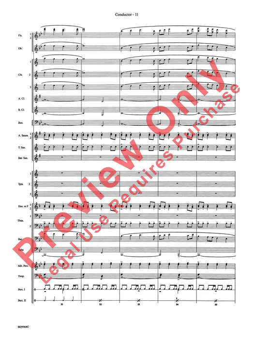 Where the Black Hawk Soars | 小雅音樂 Hsiaoya Music