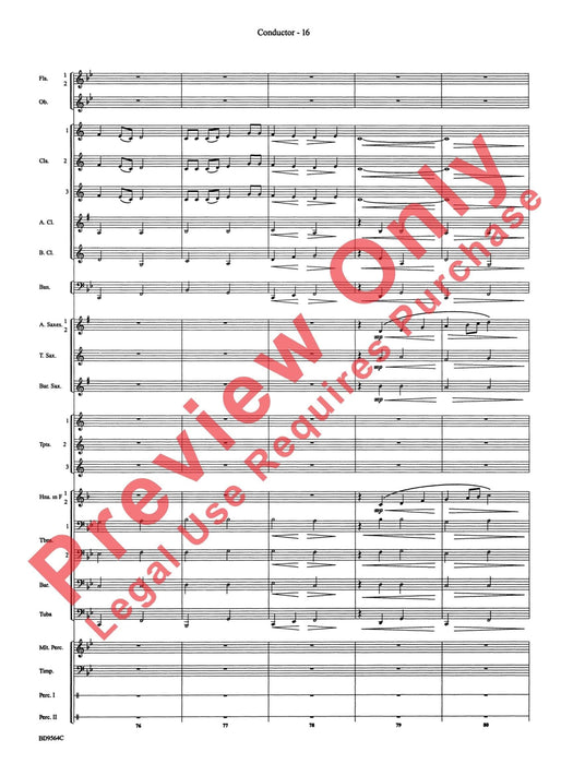 Where the Black Hawk Soars | 小雅音樂 Hsiaoya Music