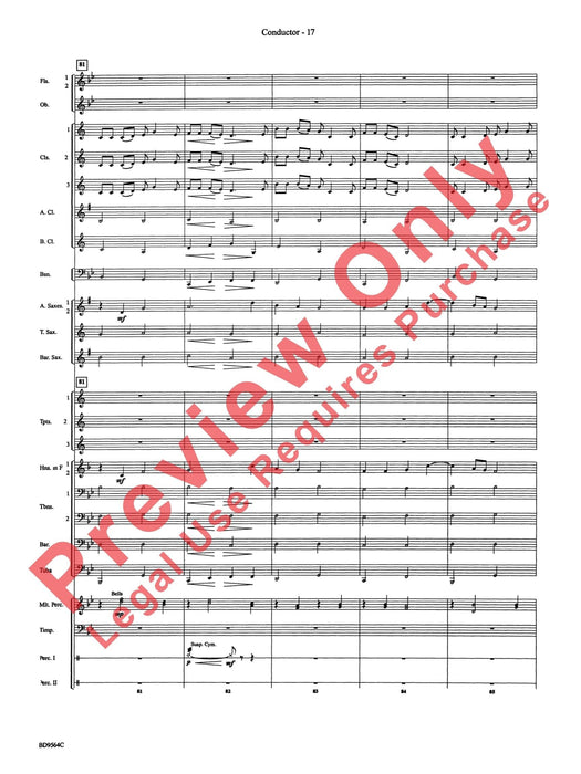 Where the Black Hawk Soars | 小雅音樂 Hsiaoya Music