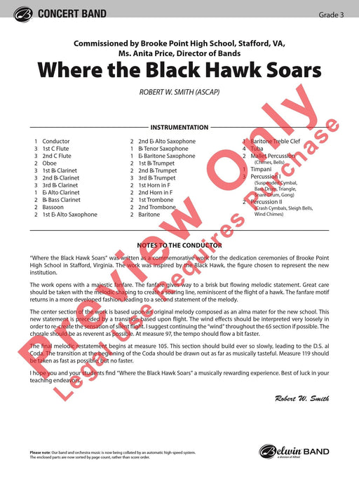 Where the Black Hawk Soars | 小雅音樂 Hsiaoya Music