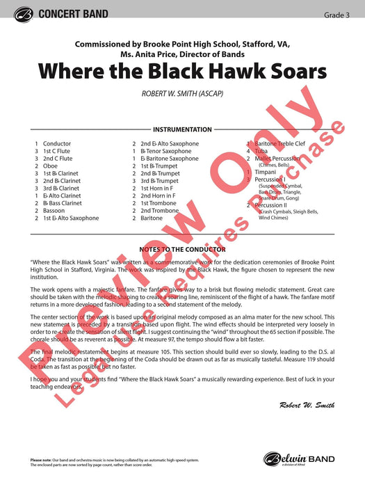 Where the Black Hawk Soars | 小雅音樂 Hsiaoya Music