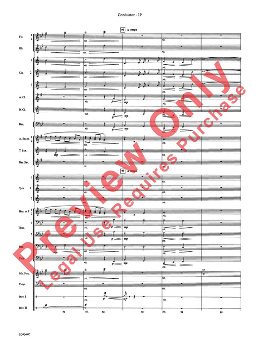 Where the Black Hawk Soars | 小雅音樂 Hsiaoya Music