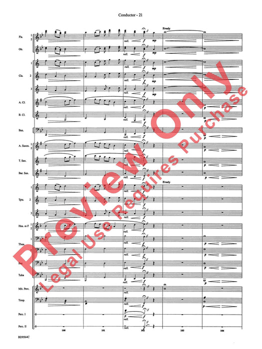 Where the Black Hawk Soars | 小雅音樂 Hsiaoya Music