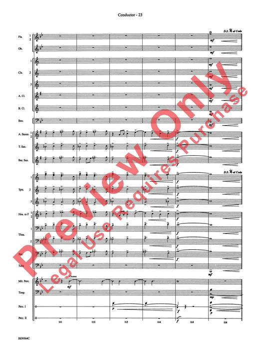 Where the Black Hawk Soars | 小雅音樂 Hsiaoya Music