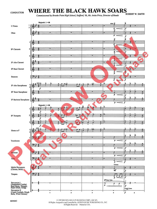 Where the Black Hawk Soars | 小雅音樂 Hsiaoya Music