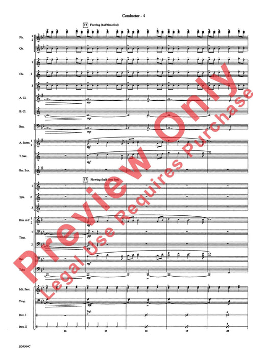 Where the Black Hawk Soars | 小雅音樂 Hsiaoya Music