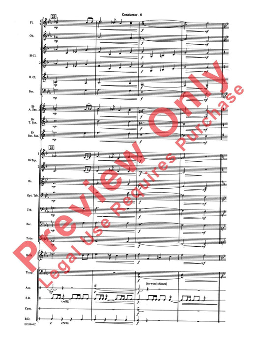 America the Beautiful | 小雅音樂 Hsiaoya Music