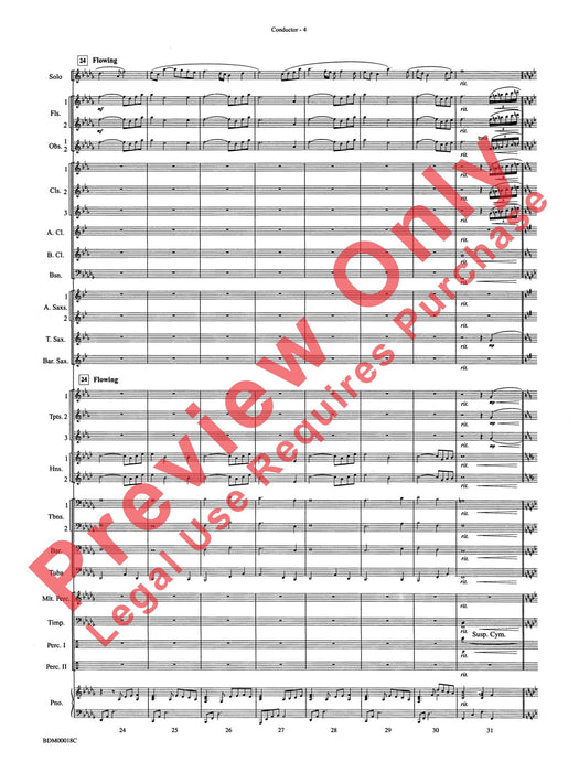 In a Gentle Rain Wind Instrument Solo 管樂器獨奏 總譜 | 小雅音樂 Hsiaoya Music