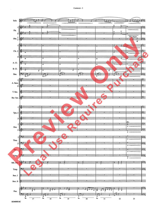 In a Gentle Rain Wind Instrument Solo 管樂器獨奏 | 小雅音樂 Hsiaoya Music