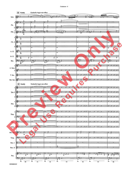 In a Gentle Rain Wind Instrument Solo 管樂器獨奏 | 小雅音樂 Hsiaoya Music