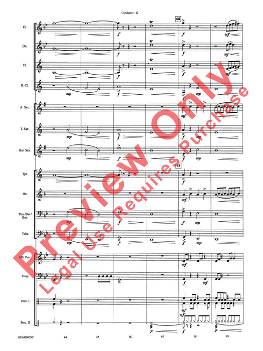 Serengeti Dreams 總譜 | 小雅音樂 Hsiaoya Music