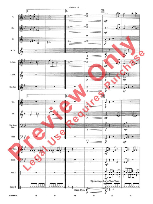 Serengeti Dreams | 小雅音樂 Hsiaoya Music