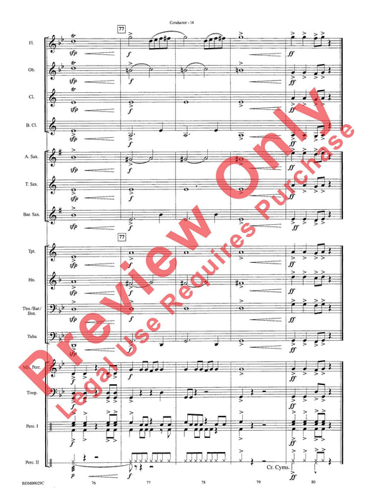 Serengeti Dreams | 小雅音樂 Hsiaoya Music