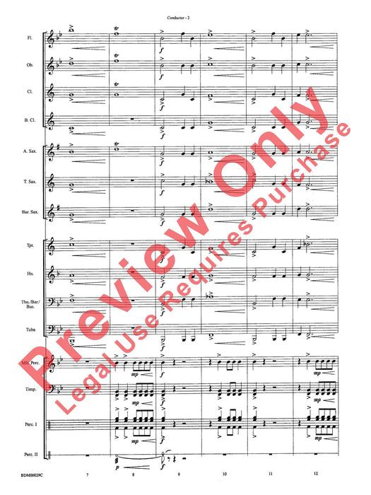 Serengeti Dreams | 小雅音樂 Hsiaoya Music