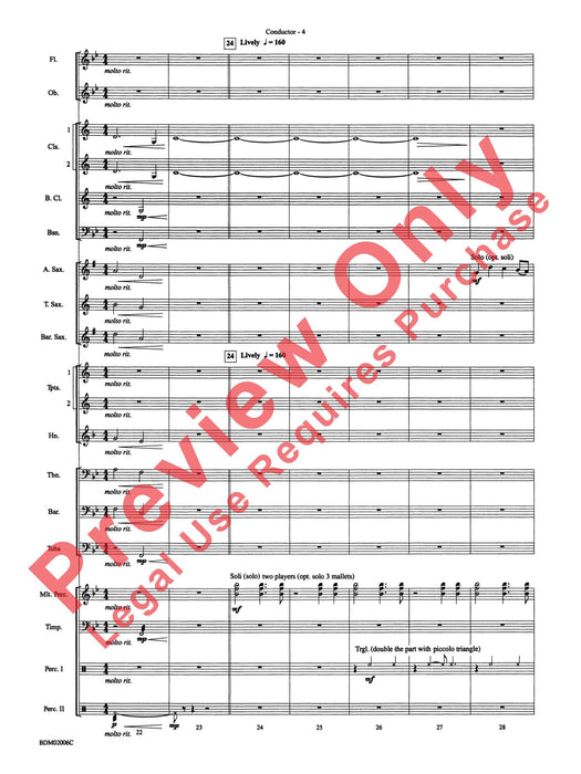 When Summer Takes Flight | 小雅音樂 Hsiaoya Music