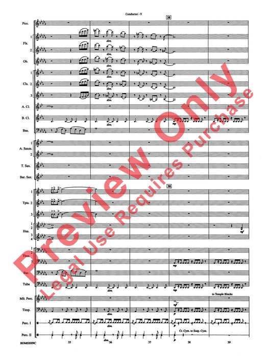 Thine Alabaster Cities Gleam (A Message of Hope for America) | 小雅音樂 Hsiaoya Music