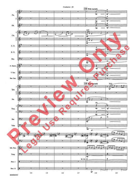 The Star of Dreams 總譜 | 小雅音樂 Hsiaoya Music