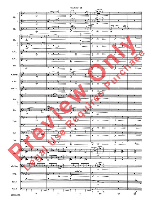 The Star of Dreams 總譜 | 小雅音樂 Hsiaoya Music