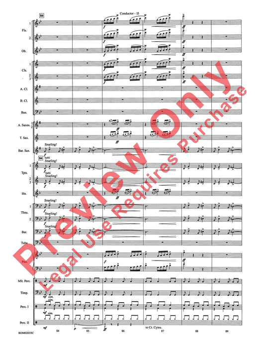 The Star of Dreams | 小雅音樂 Hsiaoya Music