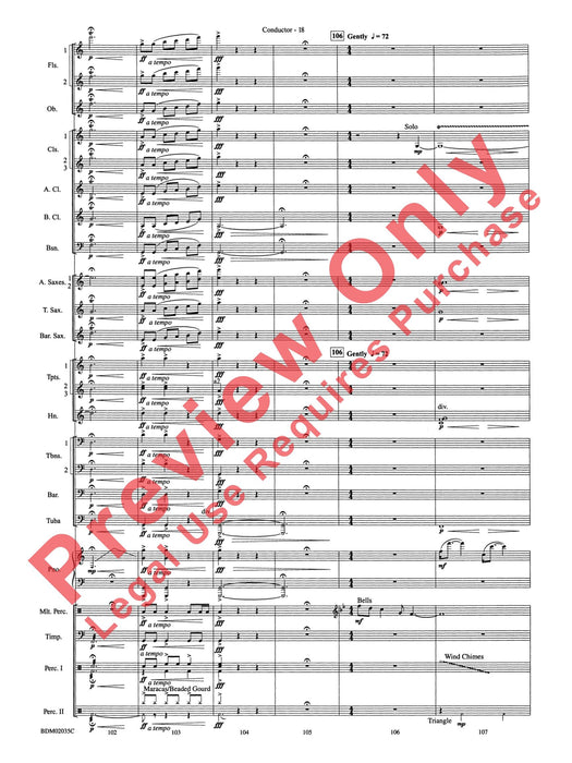 The Star of Dreams | 小雅音樂 Hsiaoya Music