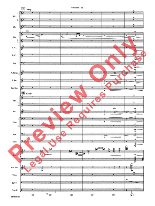 The Star of Dreams | 小雅音樂 Hsiaoya Music