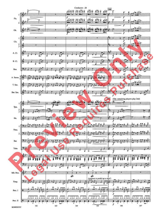 The Star of Dreams | 小雅音樂 Hsiaoya Music