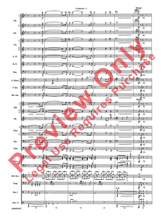 The Star of Dreams | 小雅音樂 Hsiaoya Music