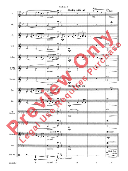 In the Wake of Spring 總譜 | 小雅音樂 Hsiaoya Music