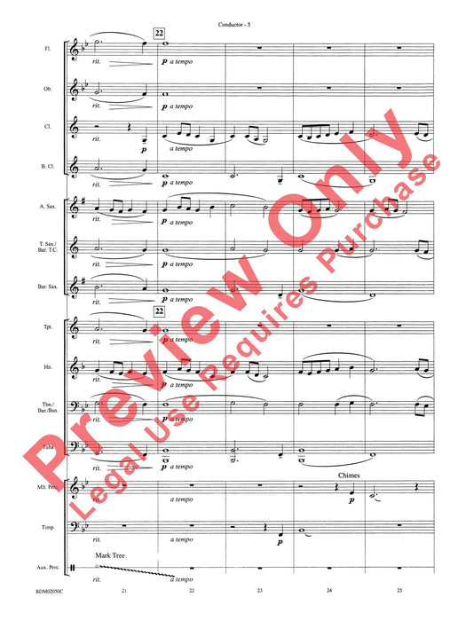 In the Wake of Spring 總譜 | 小雅音樂 Hsiaoya Music