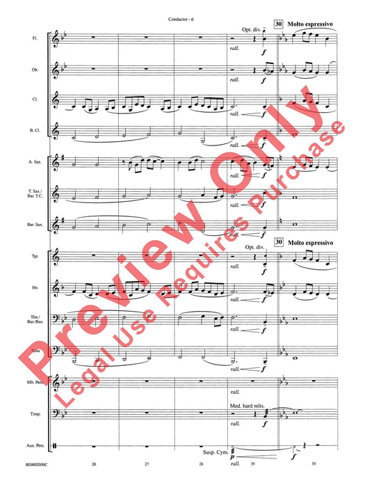 In the Wake of Spring 總譜 | 小雅音樂 Hsiaoya Music