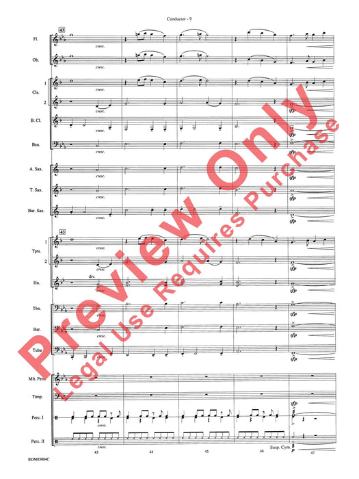 In the Valley of the Ancients | 小雅音樂 Hsiaoya Music