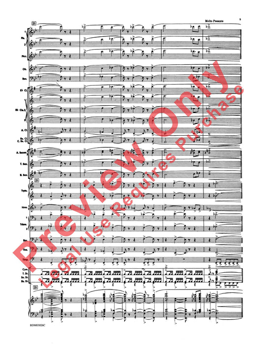 Festivo For Symphonic Band 內爾希伯爾 節慶 | 小雅音樂 Hsiaoya Music