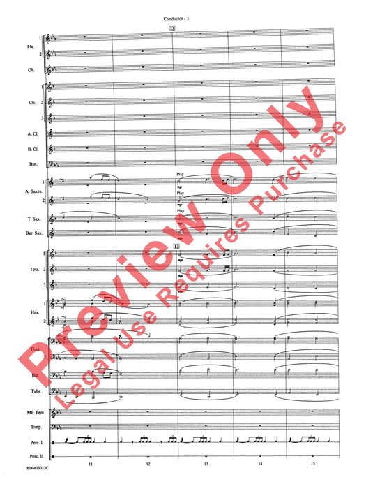 In Their Honor 總譜 | 小雅音樂 Hsiaoya Music