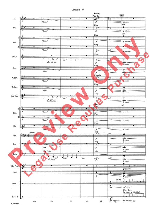 The Great Steamboat Race | 小雅音樂 Hsiaoya Music