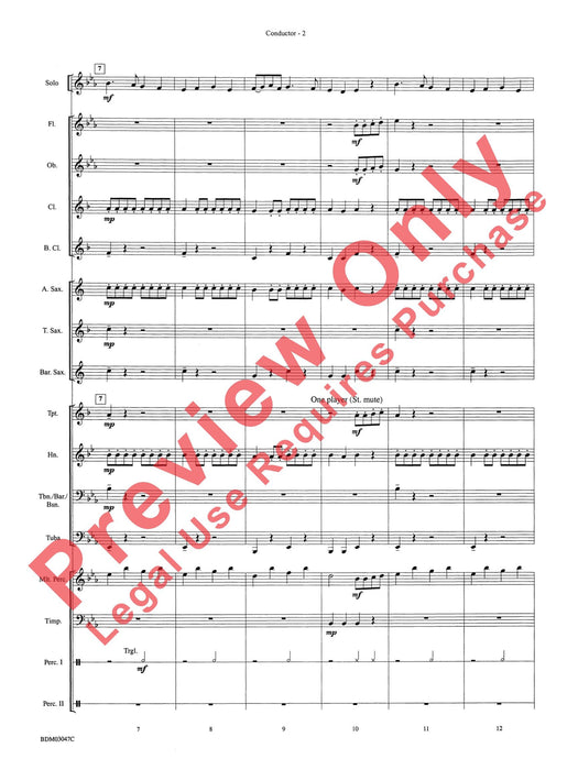 Christmas Concerto #3 For Soloist and Band 協奏曲 獨奏 | 小雅音樂 Hsiaoya Music