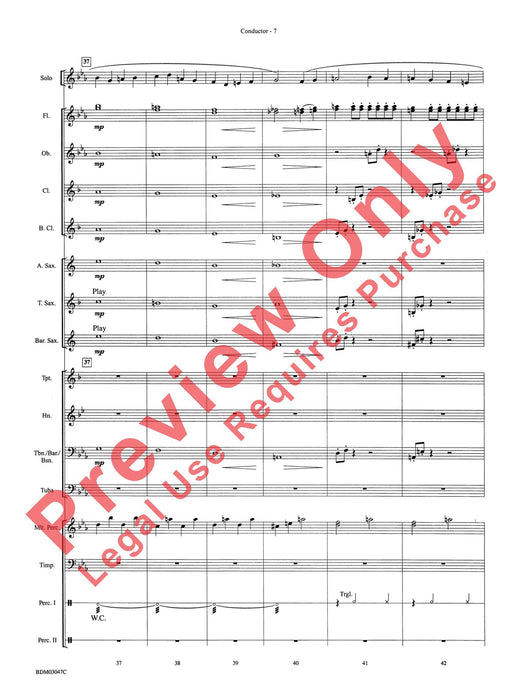 Christmas Concerto #3 For Soloist and Band 協奏曲 獨奏 | 小雅音樂 Hsiaoya Music