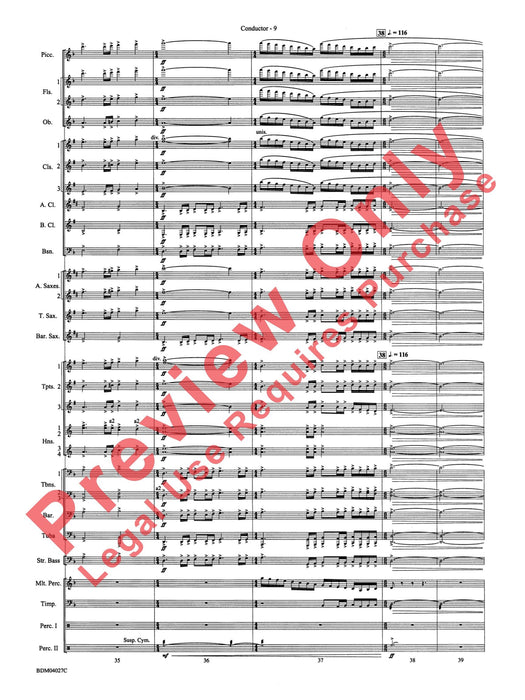 Tir Na Nog (A Celtic Legend) 傳奇曲 | 小雅音樂 Hsiaoya Music