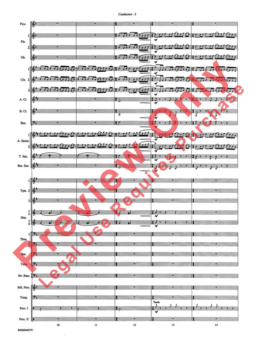 Tir Na Nog (A Celtic Legend) 傳奇曲 | 小雅音樂 Hsiaoya Music