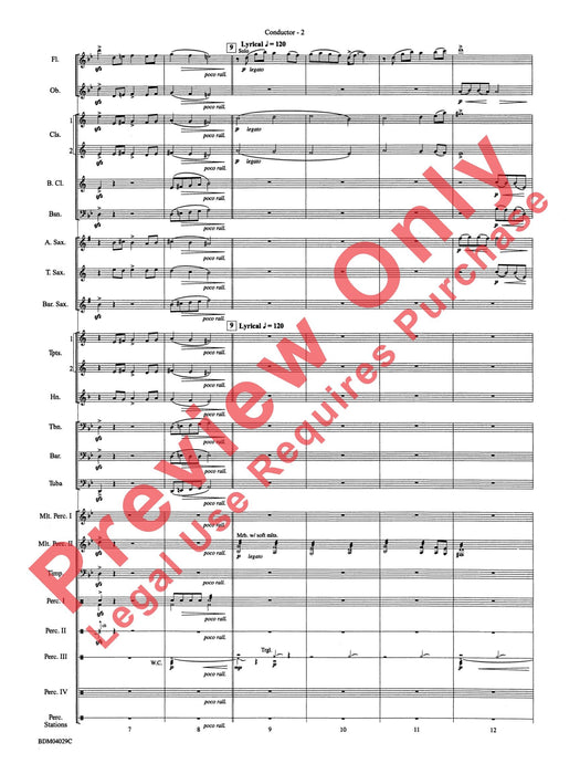 The Sleeping Place of the Stars 總譜 | 小雅音樂 Hsiaoya Music