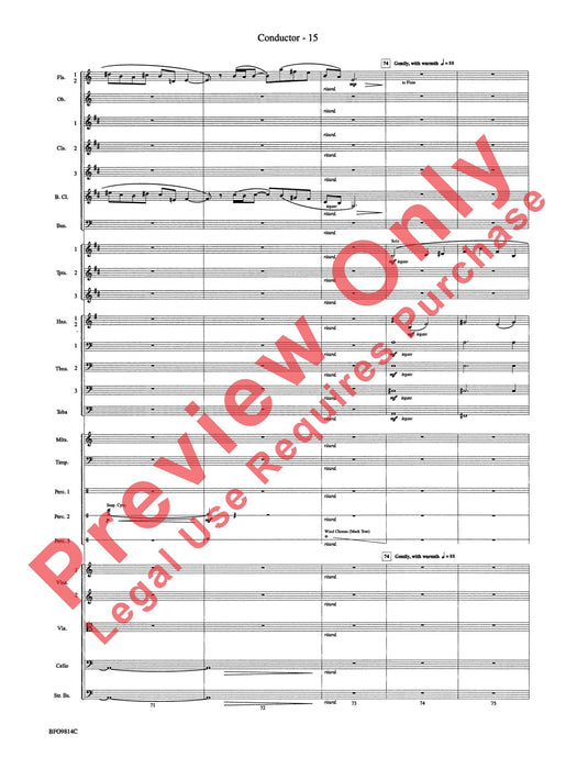 Into the Storm 總譜 | 小雅音樂 Hsiaoya Music