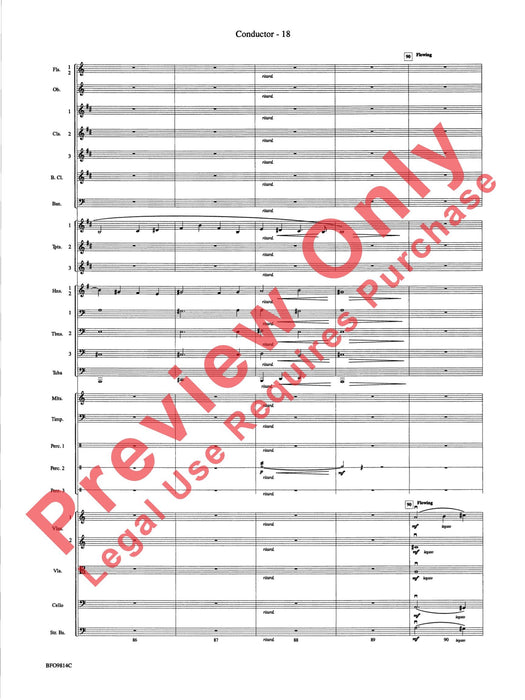 Into the Storm 總譜 | 小雅音樂 Hsiaoya Music