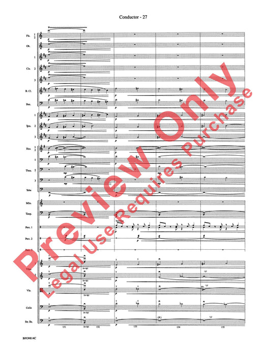 Into the Storm 總譜 | 小雅音樂 Hsiaoya Music