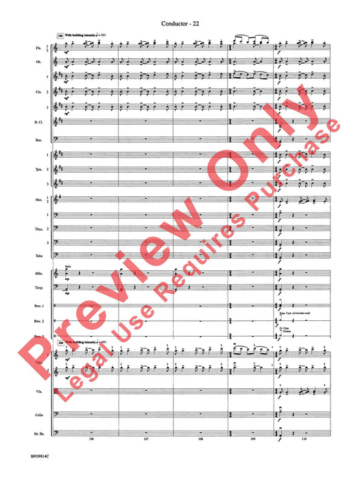 Into the Storm | 小雅音樂 Hsiaoya Music