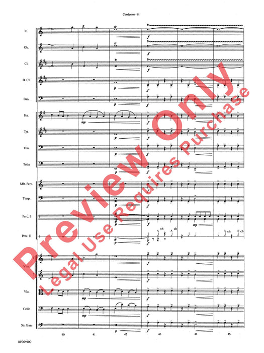 The Sound and the Fury | 小雅音樂 Hsiaoya Music